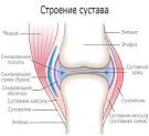 Вращающейся диск для похудения купить