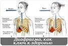 Сибирское здоровье средства для похудения