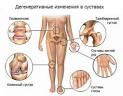 Однодневное голодание для похудения