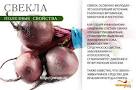 Укропный отвар для похудения
