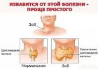 Сибирское здоровье средства для похудения